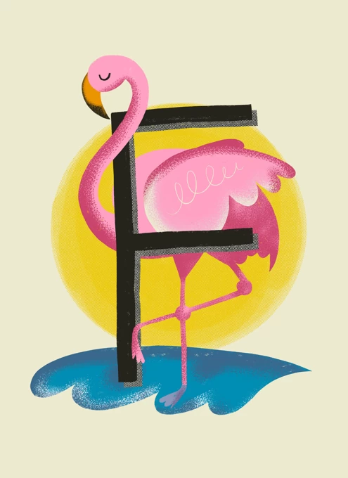 F is for Flamingo