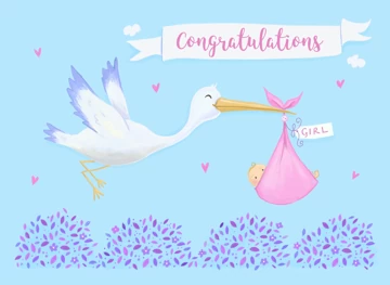 Baby Girl Birth Congratulations Stork