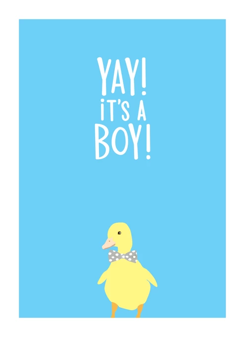 Boy Duck