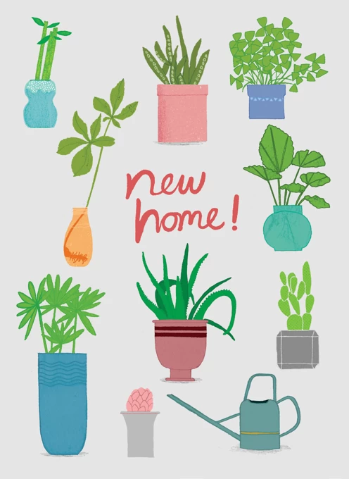 New Home, Plants Design