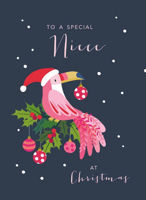 Niece Toucan Christmas Card