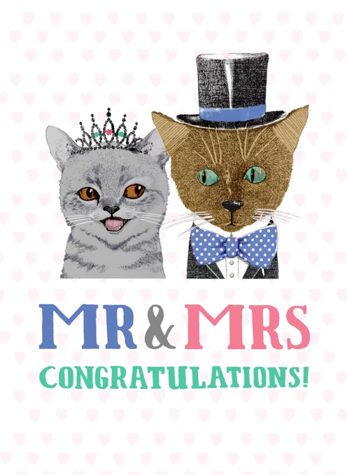 Mr & Mrs Cat Wedding