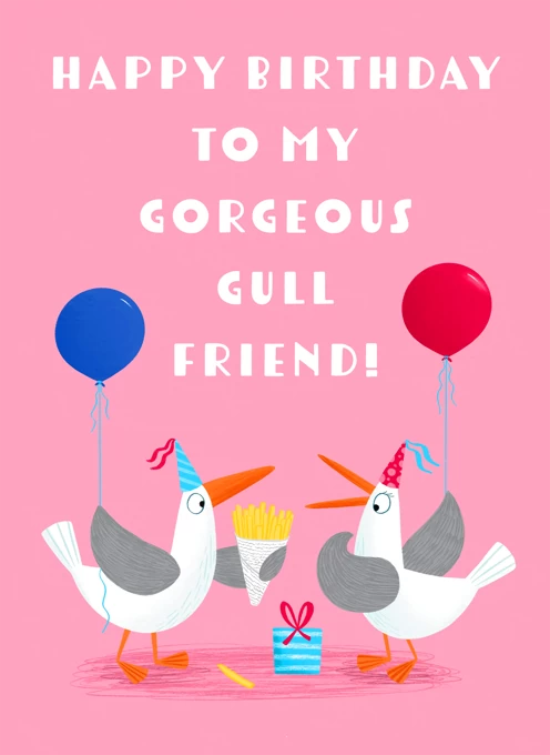 Happy Birthday To My Gorgeous Gull Friend