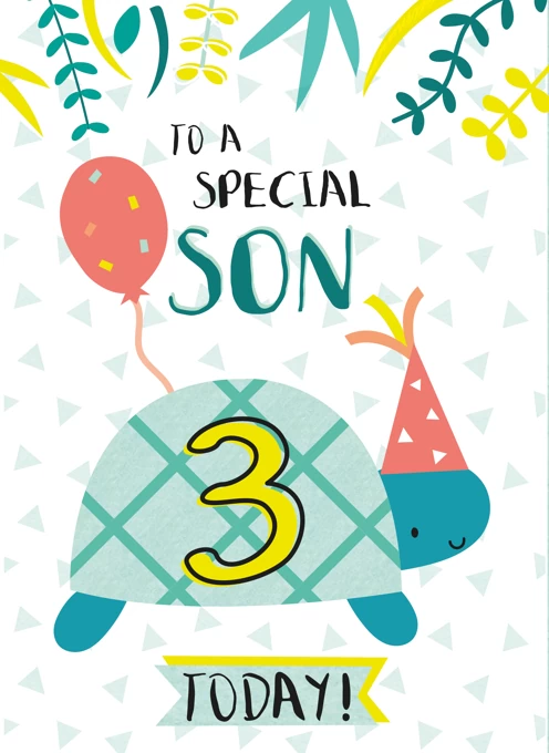 Son Happy Third Birthday Tortoise Card