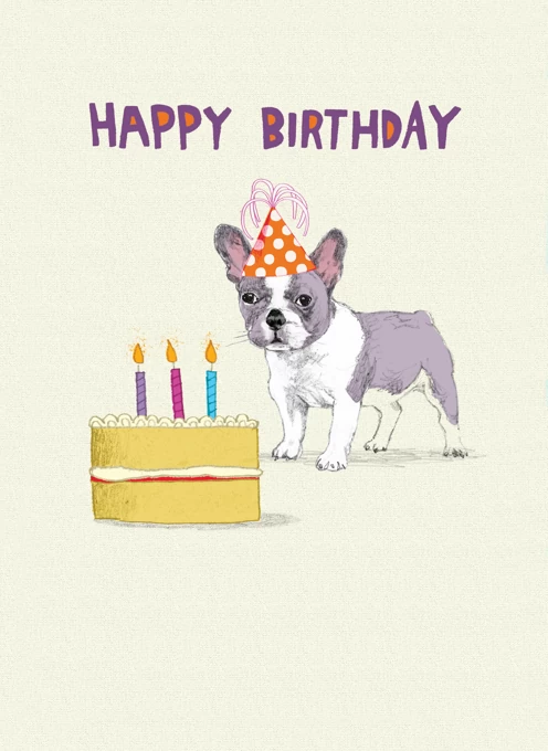 French Bulldog Birthday
