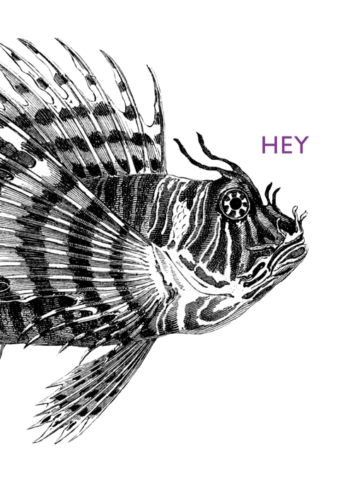 Hey Lionfish