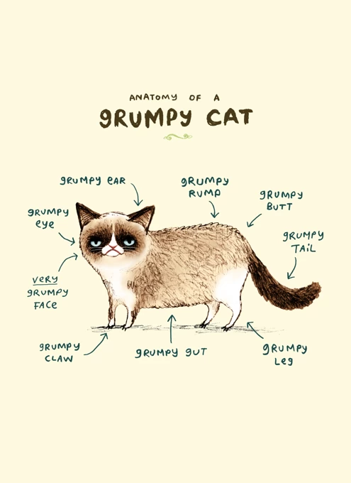 Grumpy Cat Stamp - Grumpy Cat 'NO' Stamp