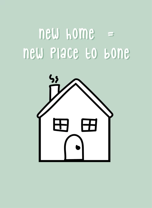 New Home New Place To Bone