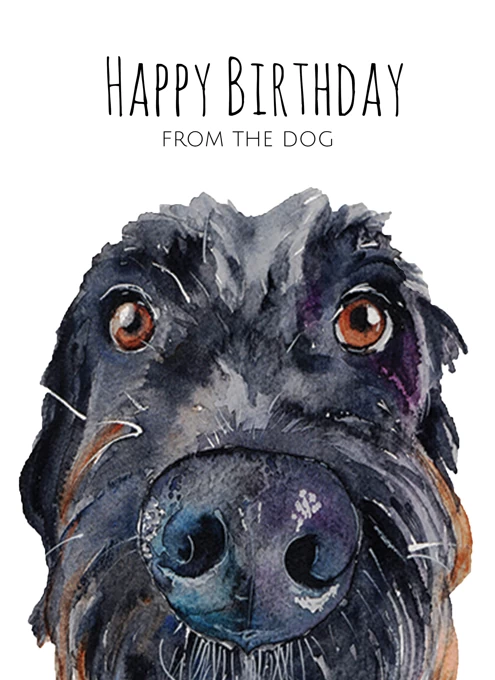 Labradoodle Happy Birthday From The Dog