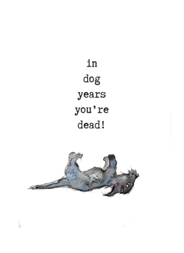 In Dog Years You Are Dead