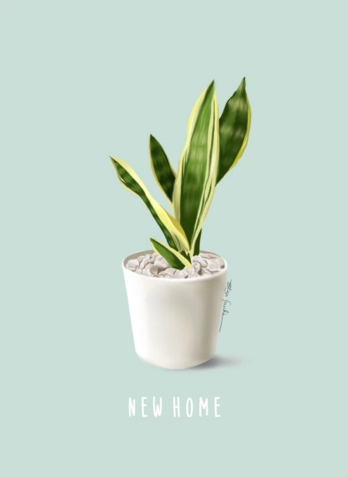 New Home Plant