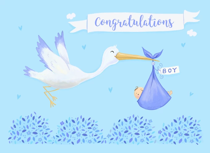 Baby Boy Birth Congratulations Cute Stork