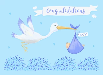 Baby Boy Birth Congratulations Cute Stork