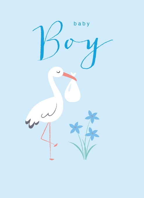 Baby Boy Stork