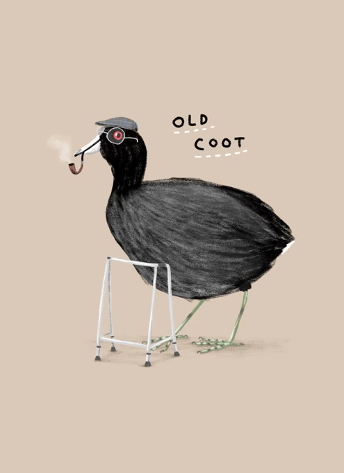 Old Coot