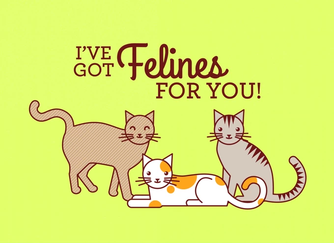 I've got felines for you!