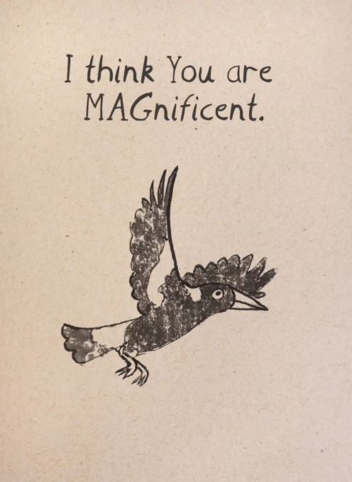 Magnificent Magpie