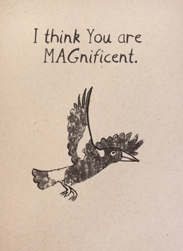 Magnificent Magpie