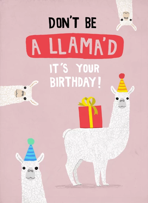 A LLama'd Birthday! Llama Birthday Design
