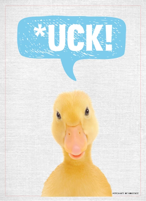 Sorry Duck