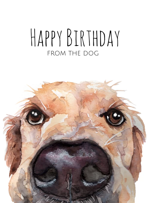 Retriever Happy Birthday From The Dog