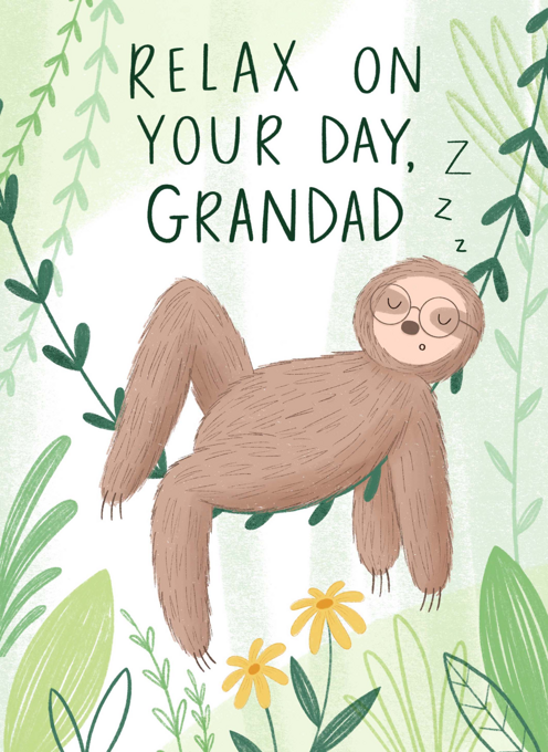 Sleeping Grandad Sloth