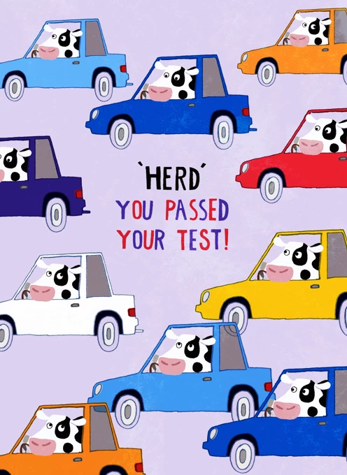 'Herd' You Passed Your Test! Driving Test