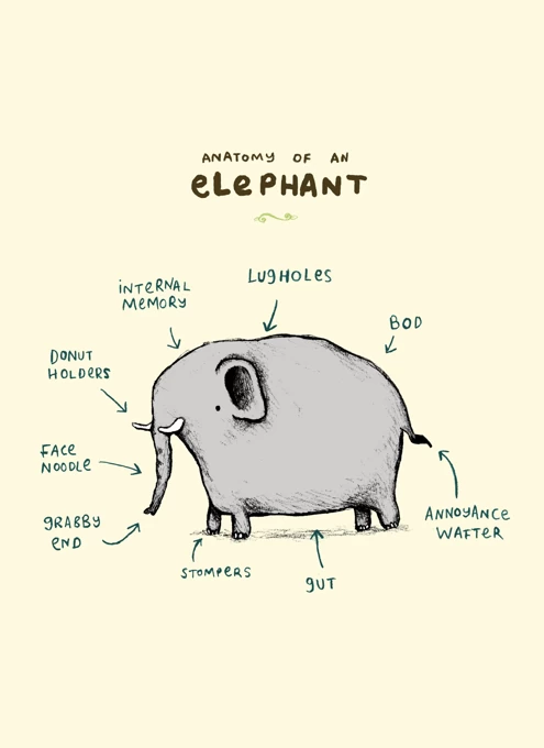 Anatomy Of An Elephant