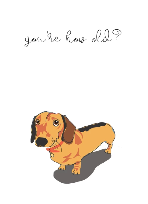 Dachshund You're How Old?