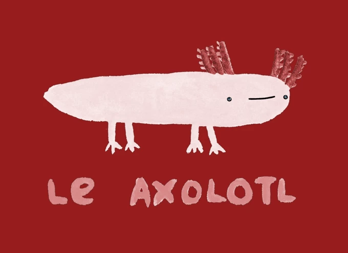 Le Axolotl