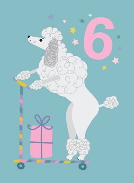 Poodle 6th Birthday