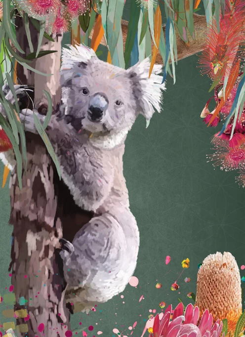Koala Love - Iconic Australian Favourite