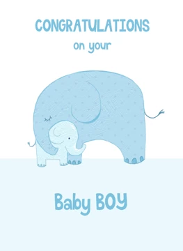 Baby Boy Birth