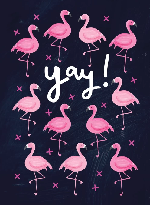 Yay Flamingos
