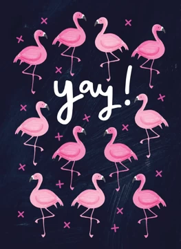 Yay Flamingos