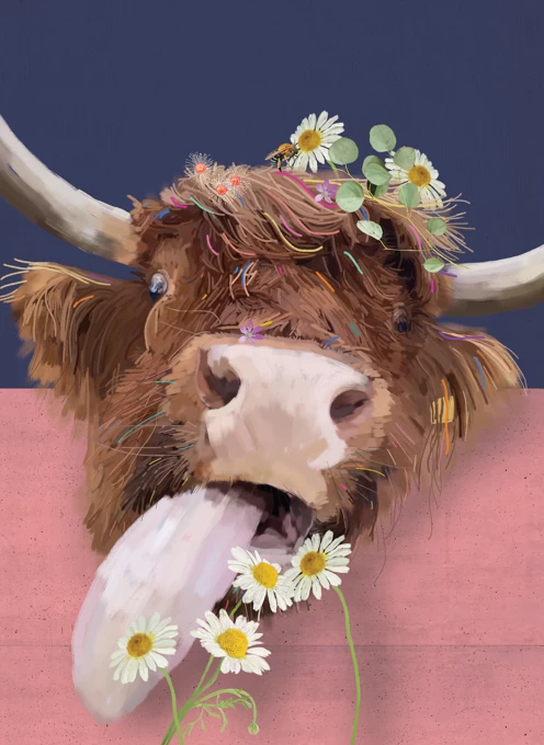 Funny Quirky Highland Cow - Molly
