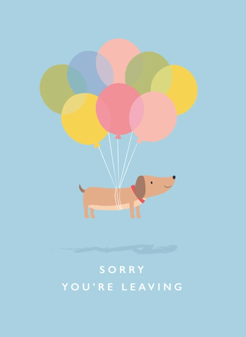 Sorry you're leaving dog with balloons