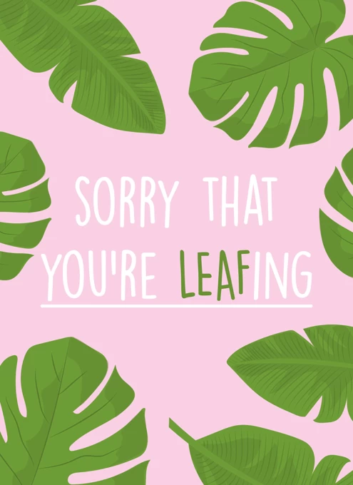 Sorry That You're Leafing