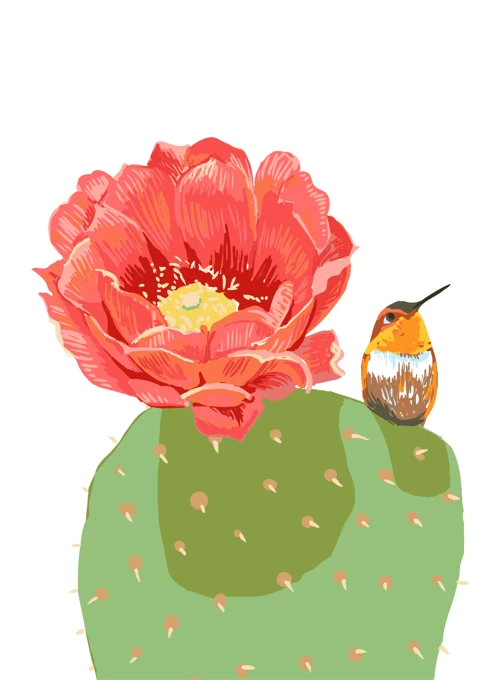Cactus and Hummingbird