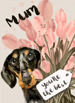 Dachshund Dog card for Mum