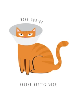 Hope You're Feline Better Soon