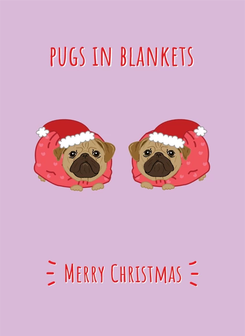 Pugs In Blankets