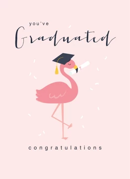Graduation Flamingo