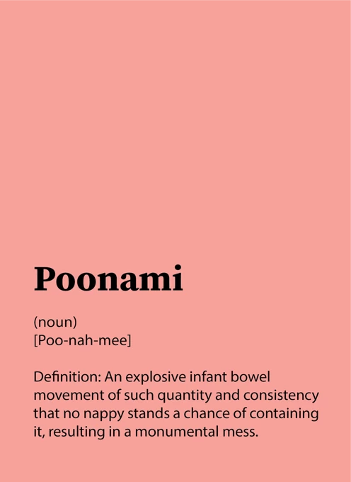 Poonami - New Baby Card