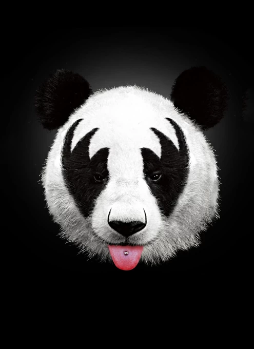 Kiss of a Panda