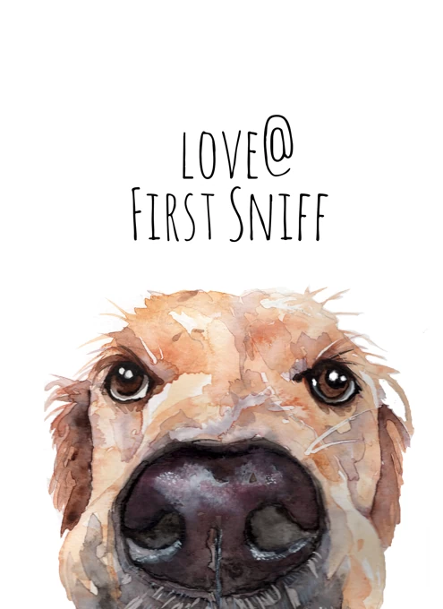 Love At First Sniff