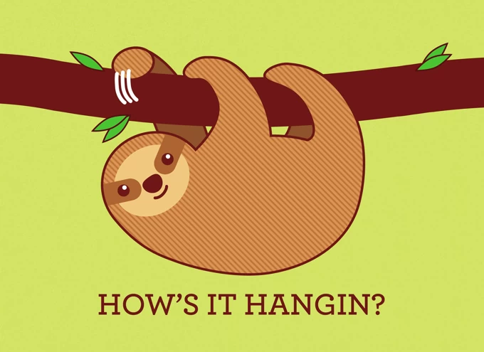 How's It Hangin?