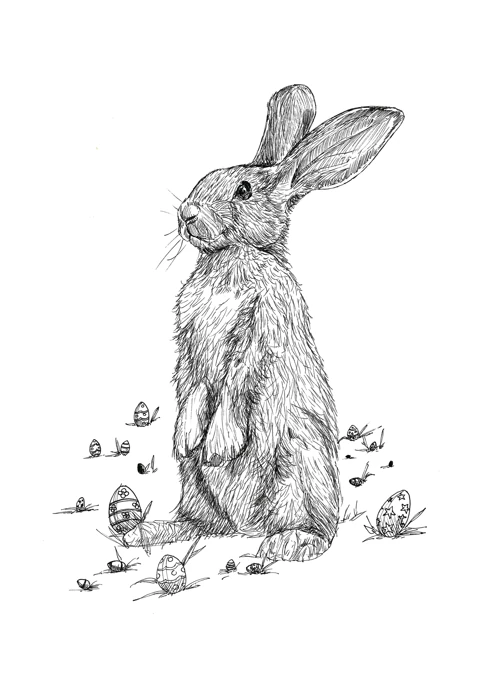 Easter Bunny Ink Drawing