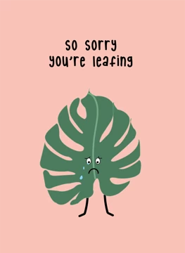 Sorry You're Leafing