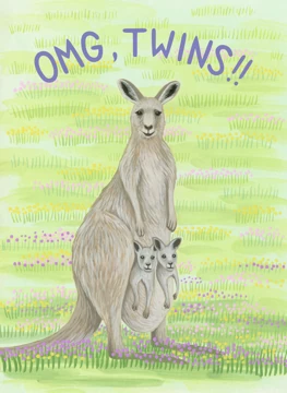 Twin Kangaroo Babies Congratulations